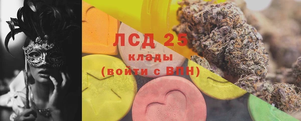 хмурый Арсеньев