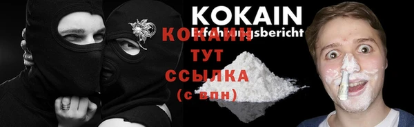 хмурый Арсеньев