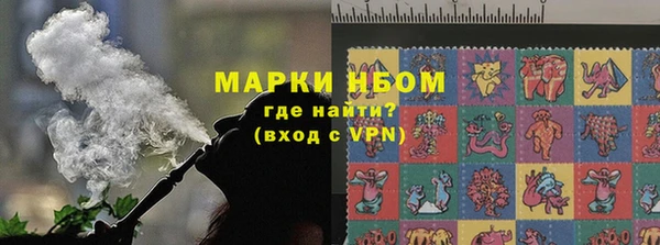 хмурый Арсеньев