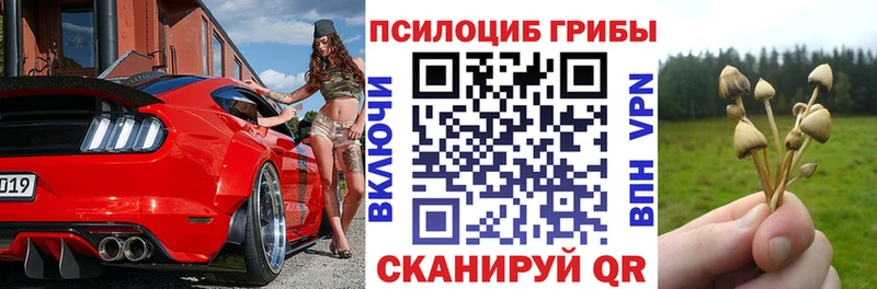 мега   как найти закладки  Моздок  Галлюциногенные грибы MAGIC MUSHROOMS 