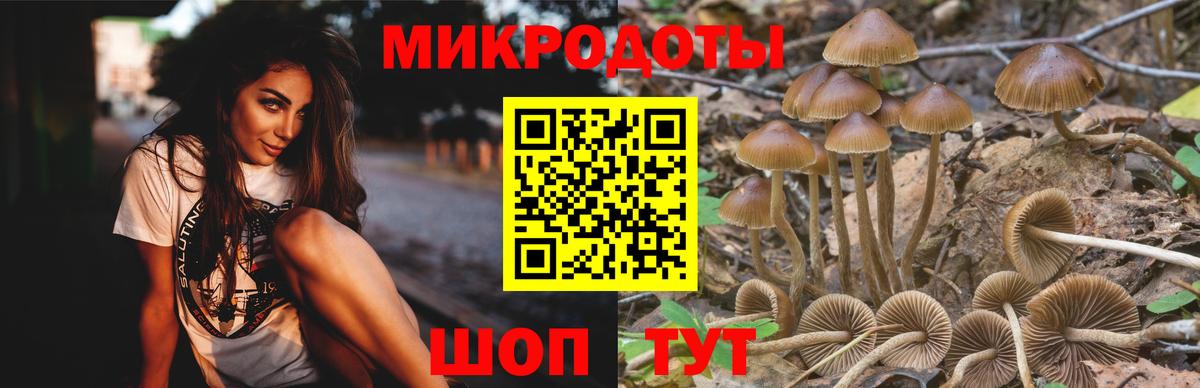 Галлюциногенные грибы Psilocybine cubensis  где можно купить   Вход с VPN  Моздок  Псилоцибиновые грибы мицелий 