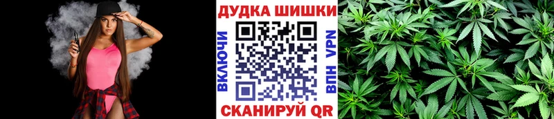 Марихуана планчик  купить закладку  Моздок 
